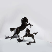 Free Spirit - Horse