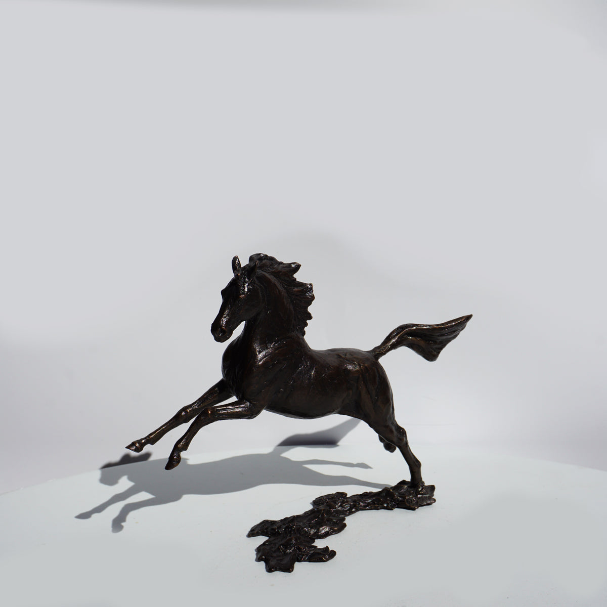 Free Spirit - Horse