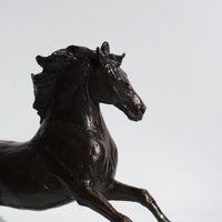 Free Spirit - Horse