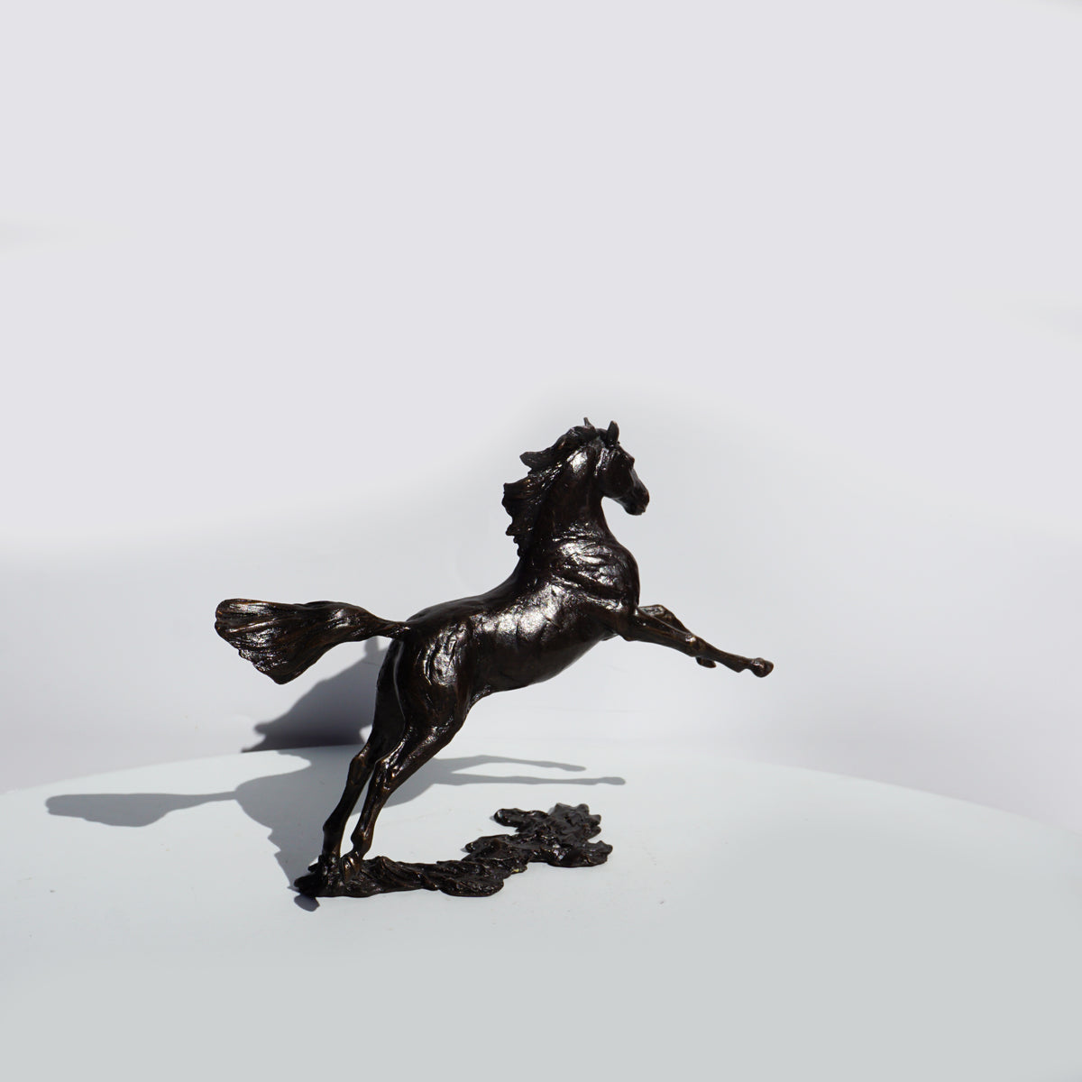 Free Spirit - Horse