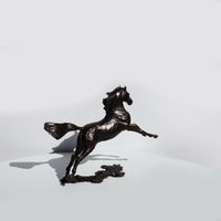 Free Spirit - Horse