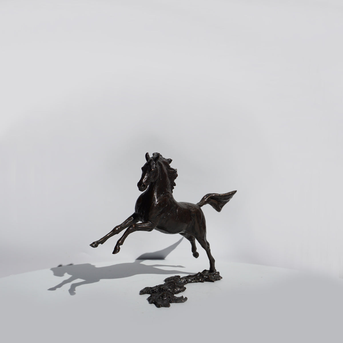 Free Spirit - Horse