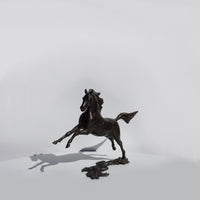 Free Spirit - Horse