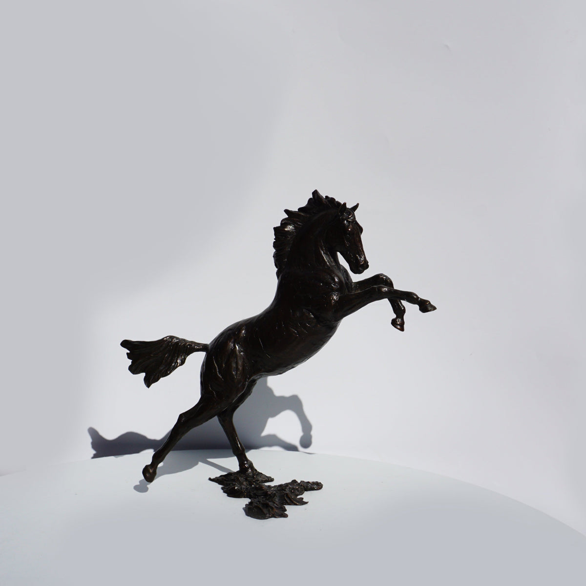 Sky - Horse