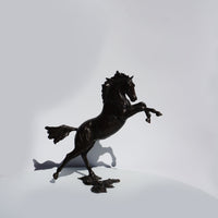 Sky - Horse