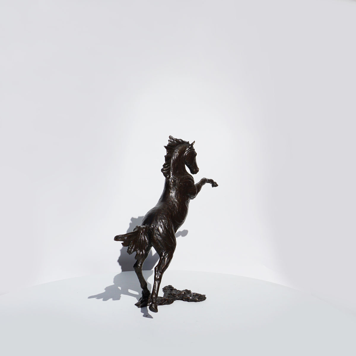 Sky - Horse