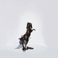 Sky - Horse