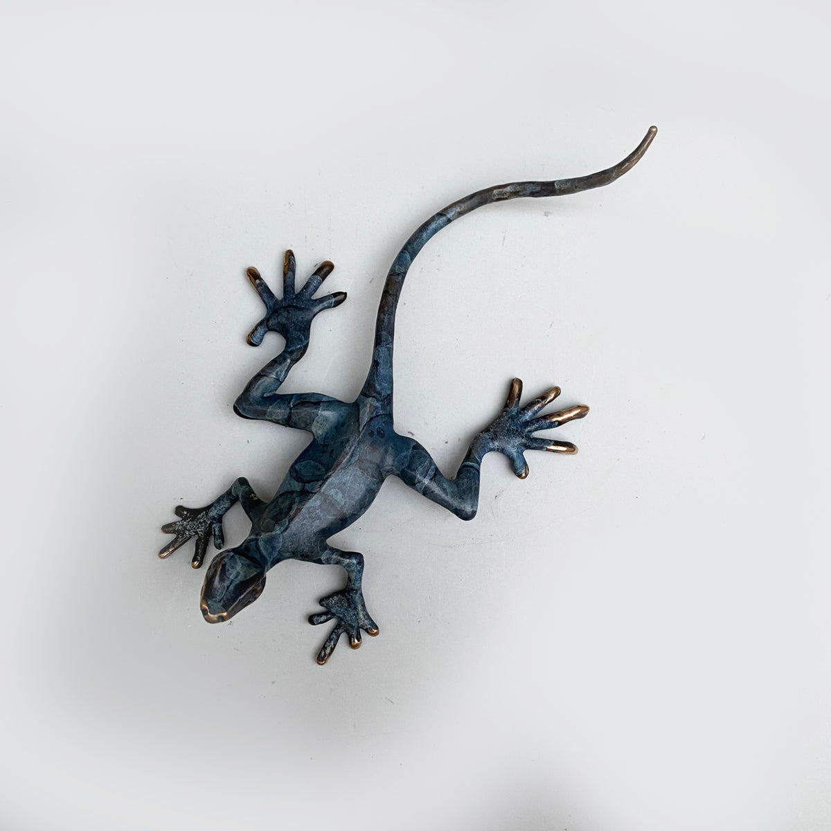 Small Lizard - Limited Edition – Cove Gallery Weymouth