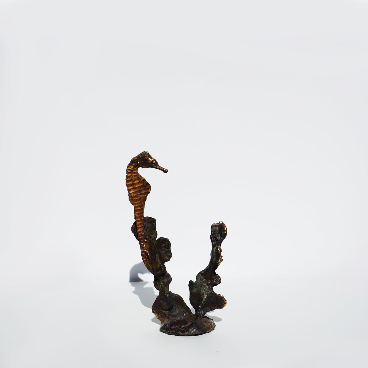 Seahorse (Single)