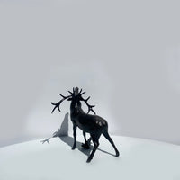 Stag Roaring