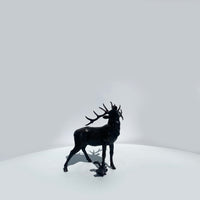 Stag Roaring