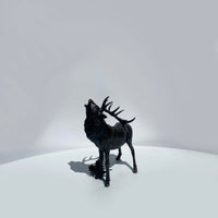 Stag Roaring