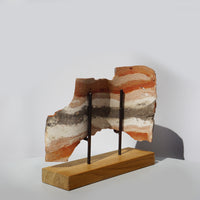 Scars of 150 Million Years #1