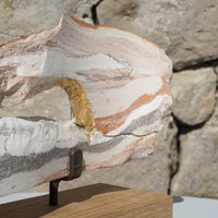Scars of 150 Million Years #2