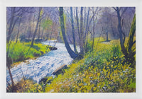 The Spring