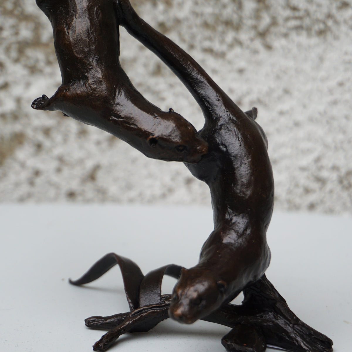 Otter Pair Playing