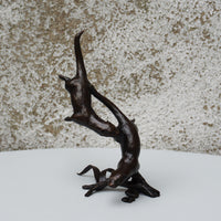 Otter Pair Playing