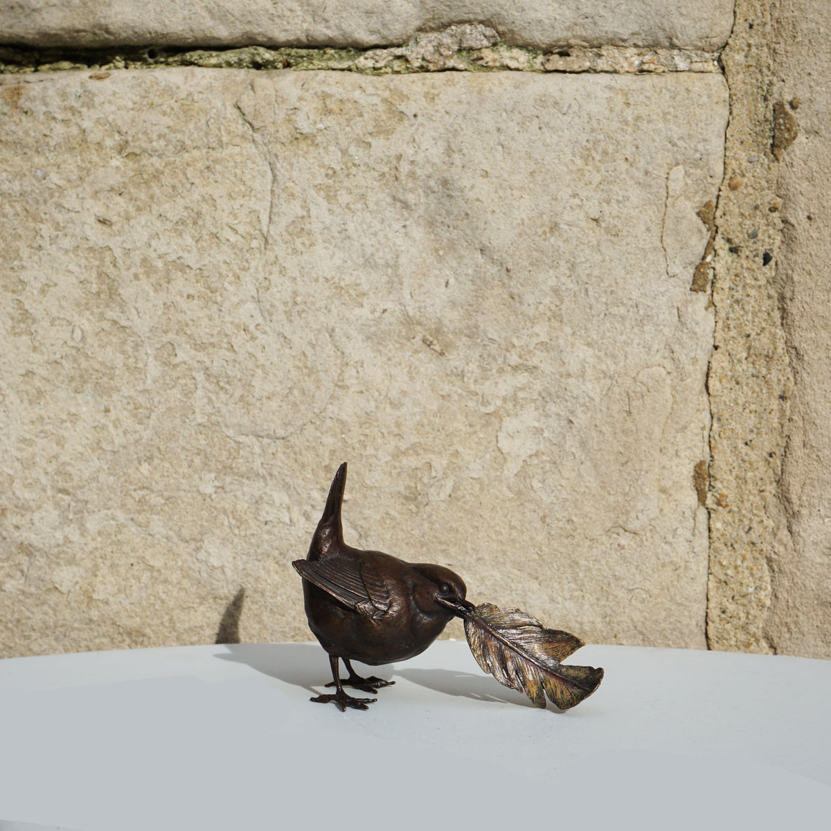 Wren with Feather