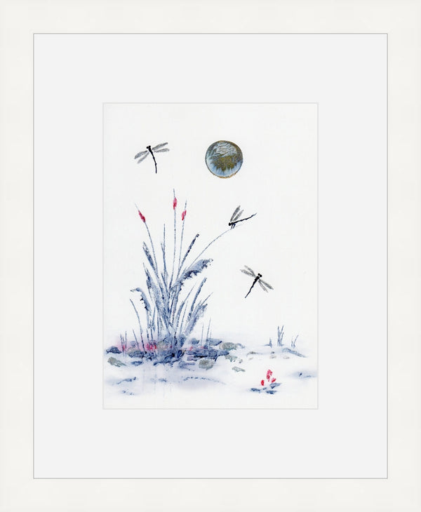 Shimmering Dragonflies