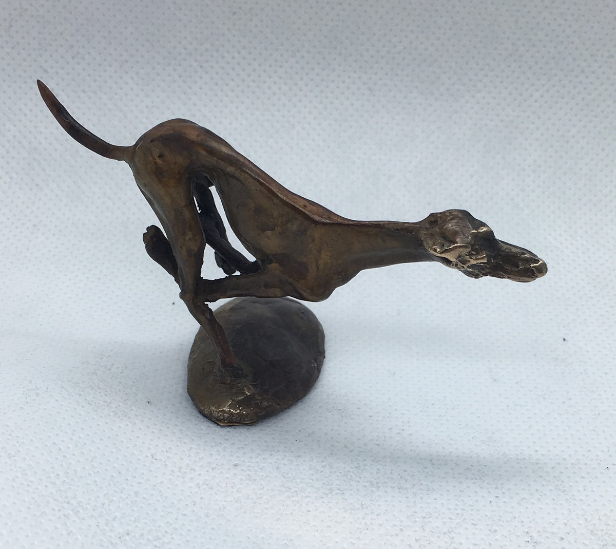 Whippet - Racing