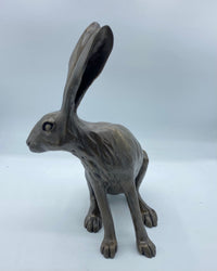 Turning Hare