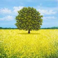 Yellow Lone Tree