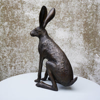 Hamish the Hare