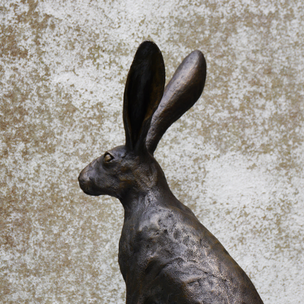 Hamish the Hare