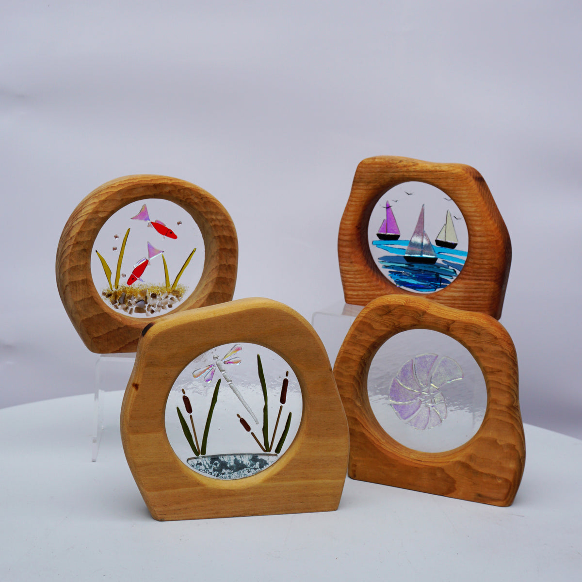 Glass in Wood Circles