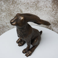 Moon Gazing Hare
