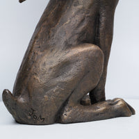 Moon Gazing Hare