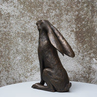 Moon Gazing Hare