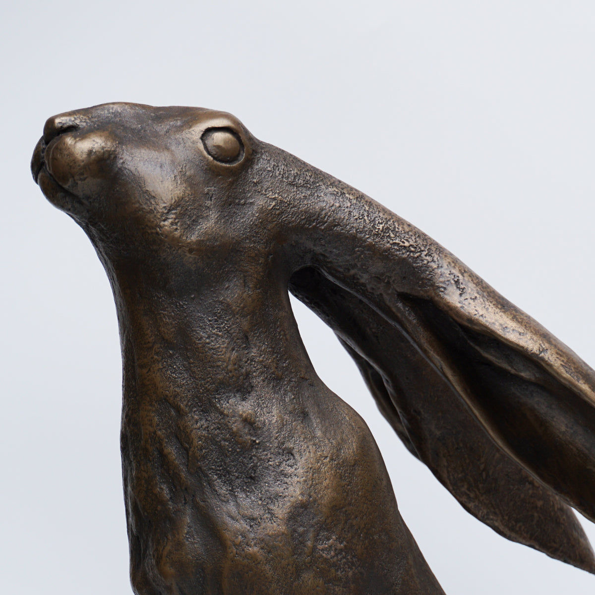 Moon Gazing Hare