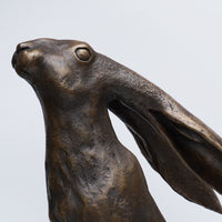 Moon Gazing Hare