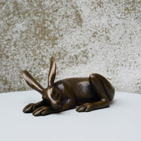 Tiny Hare Laying