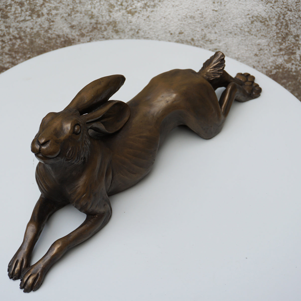 Long Relaxing Hare