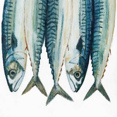 Mackerel (Limited Edition Print)