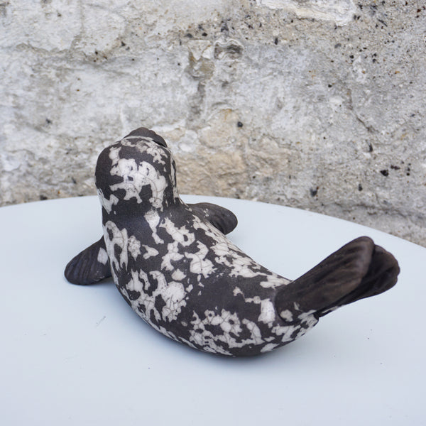 Grey Seal on Flippers - Medium