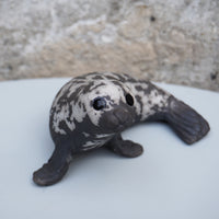 Grey Seal Curled