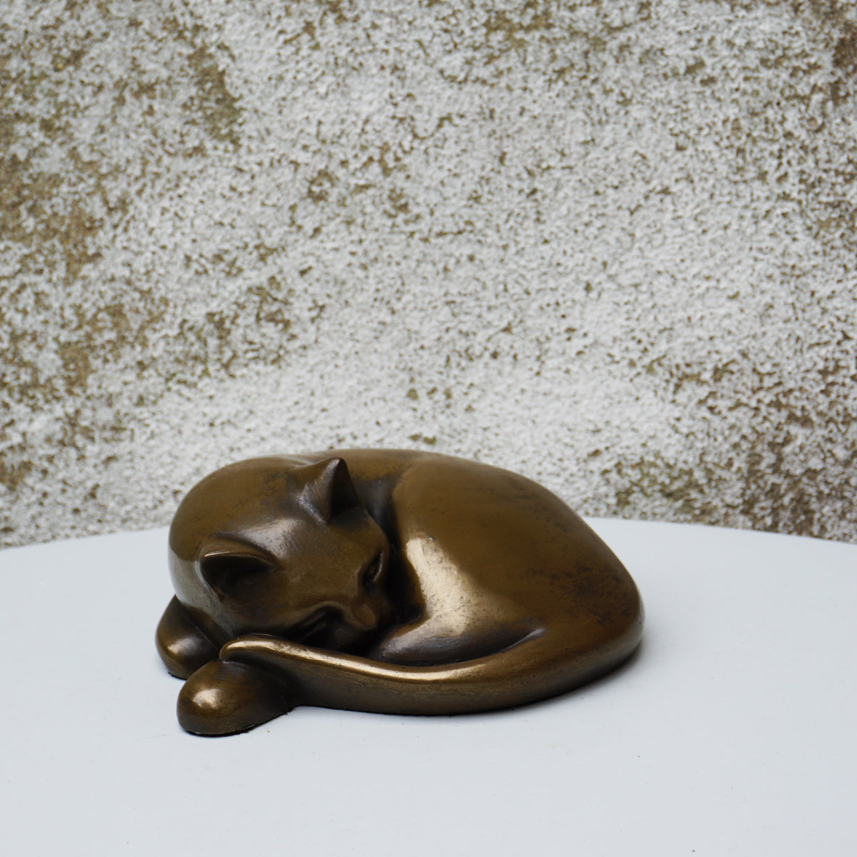 Sleeping Cat – Cove Gallery Weymouth