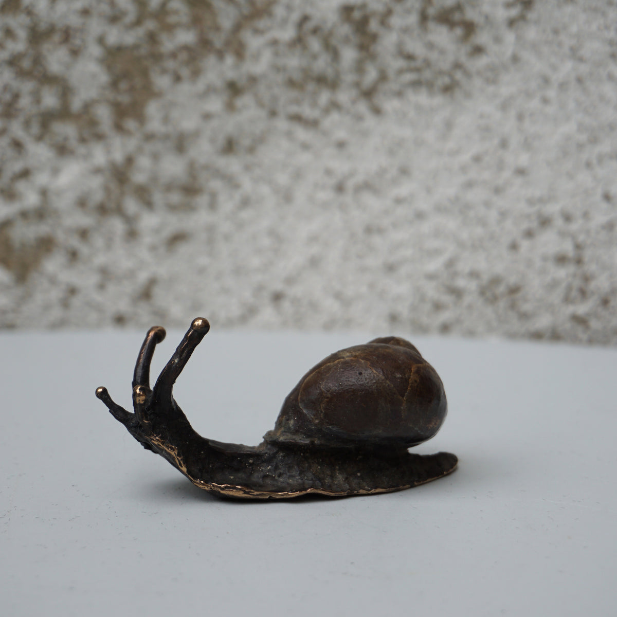 Snail - Small